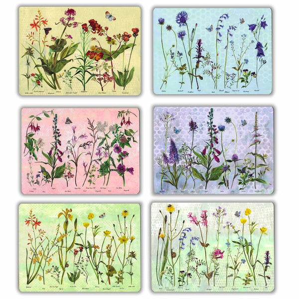 Wildflowers Placemats Set - Annabel Langrish