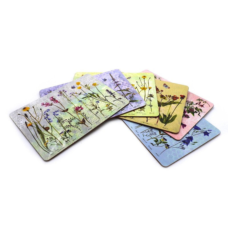 Wildflowers Placemats Set - Annabel Langrish