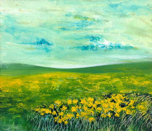 Daffodil Field Boundary - John Hurley