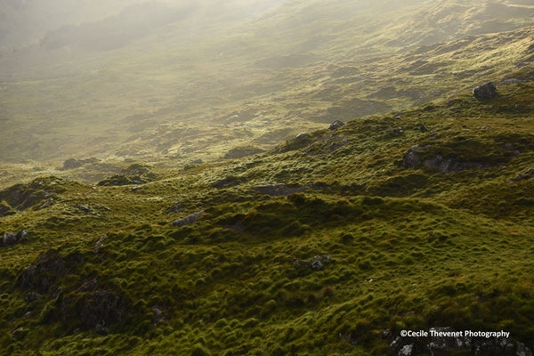 Limited edition Photography - Caha Pass, Beara Peninsula - Cécile Thévenet 