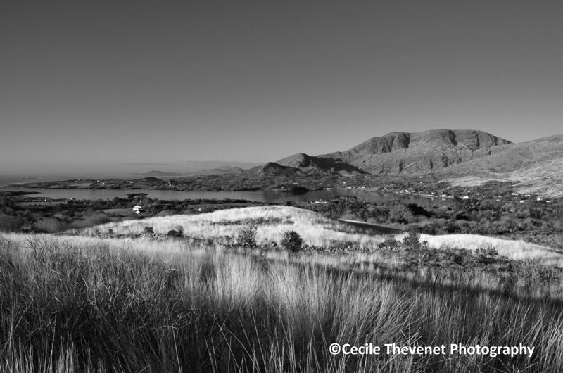 Limited edition Photography - Overlooking Adrigole Harbour - Cécile Thévenet - Pure Ireland