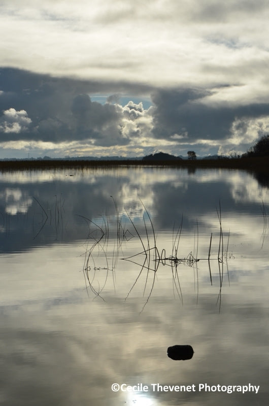 Limited edition Photography - Reflections, Lough Carra, Mayo - Cécile Thévenet 