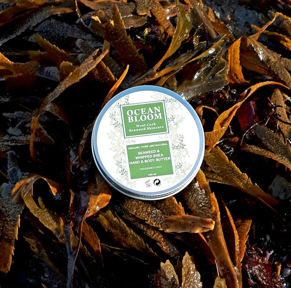 Seaweed and Whipped Shea Hand and Body Butter - Fragrance Free - Ocean Bloom