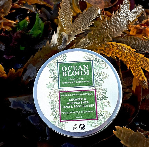 Seaweed and Whipped Shea Hand and Body Butter – Pomegranate and Cranberry Fragrance - Ocean Bloom
